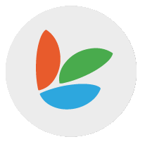 Pepla Software Solutions Logo